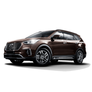 Выкуп стоек амортизаторов Hyundai Hyundai Maxcruz