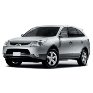 Выкуп стоек амортизаторов Hyundai Hyundai IX-55